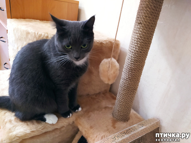 ���� 9: � ���������� ���!