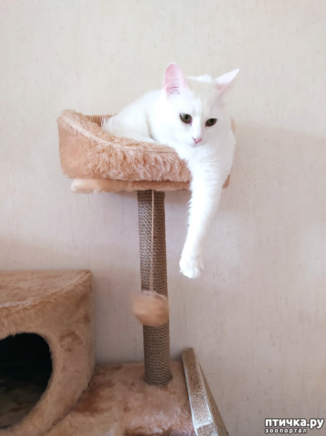 ���� 10: � ���������� ���!