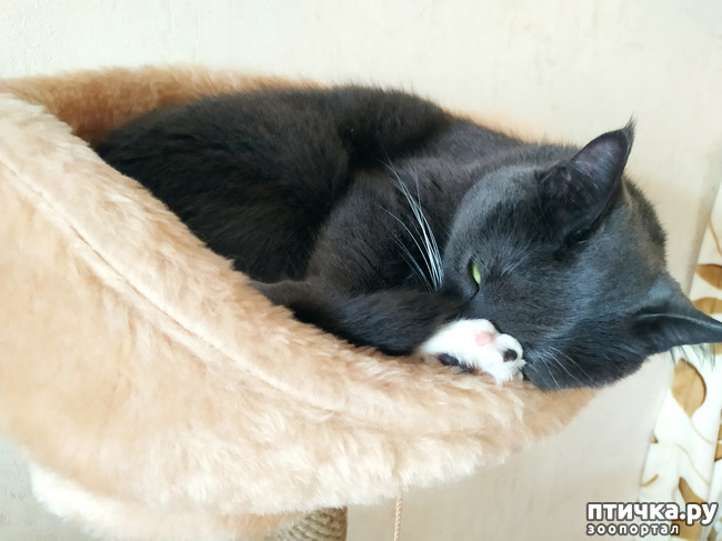 ���� 8: � ���������� ���!