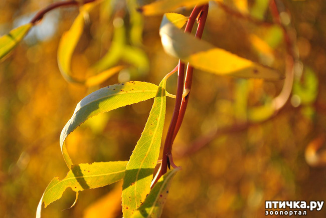 ���� 18: ������ ���������� ��������