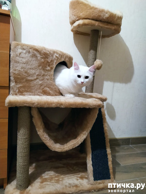 ����: � ���������� ���!