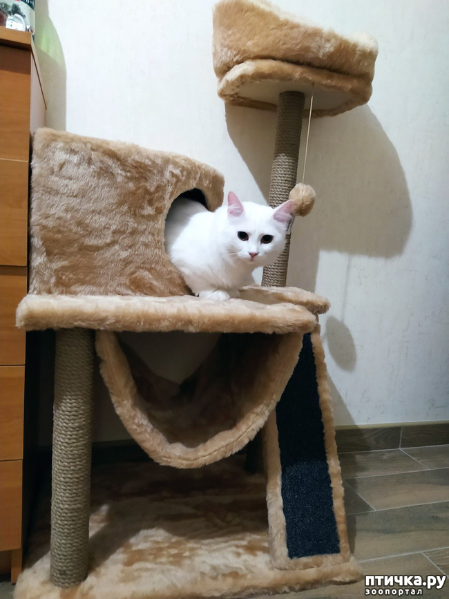 ���� 1: � ���������� ���!