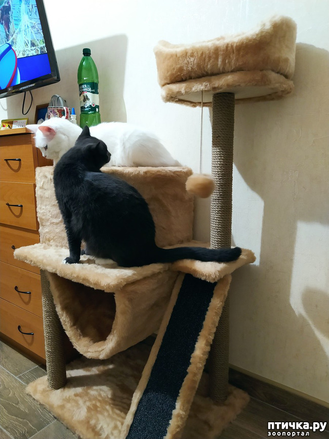 ���� 2: � ���������� ���!