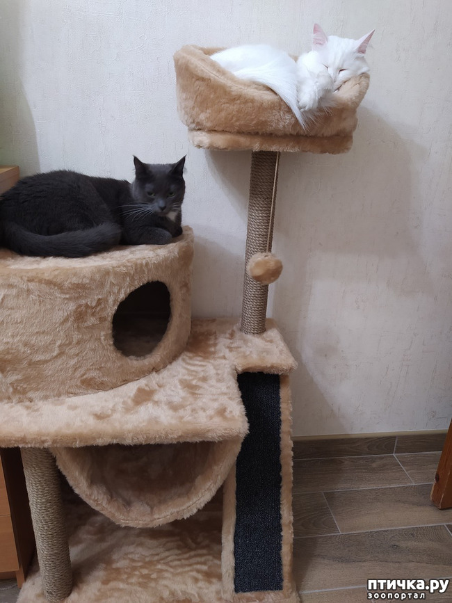 ���� 5: � ���������� ���!