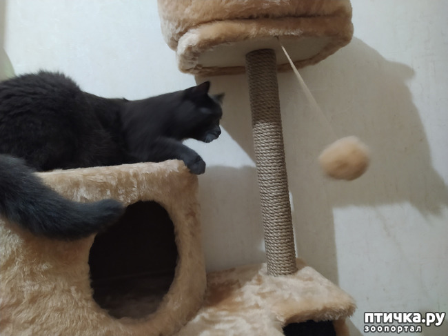 ���� 6: � ���������� ���!