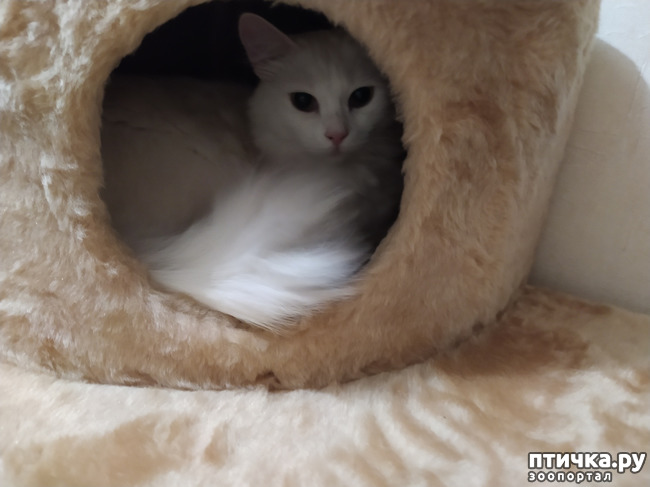 ���� 3: � ���������� ���!