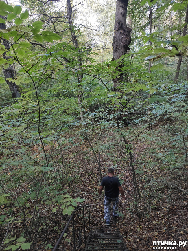 ���� 1: ������ ���������� ��������