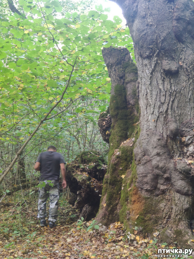 ���� 2: ������ ���������� ��������