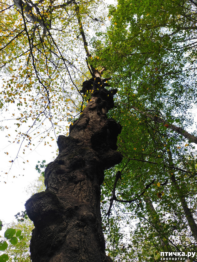 ���� 3: ������ ���������� ��������