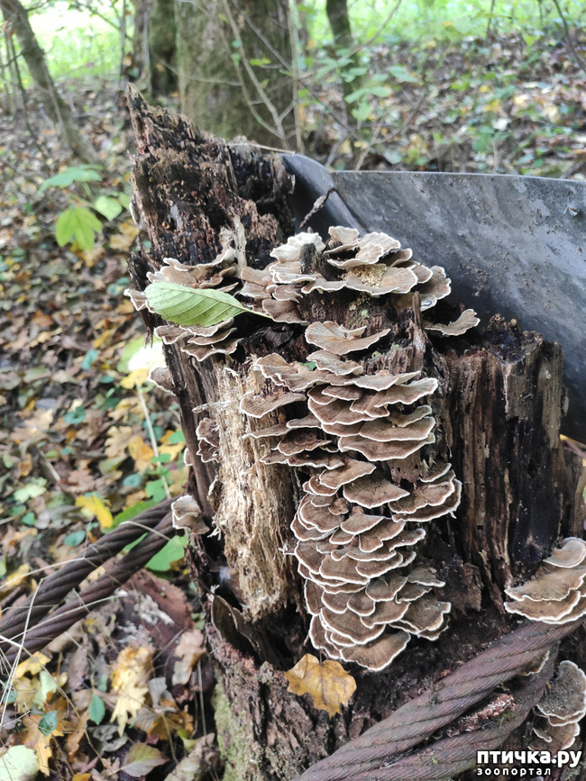 ���� 7: ������ ���������� ��������