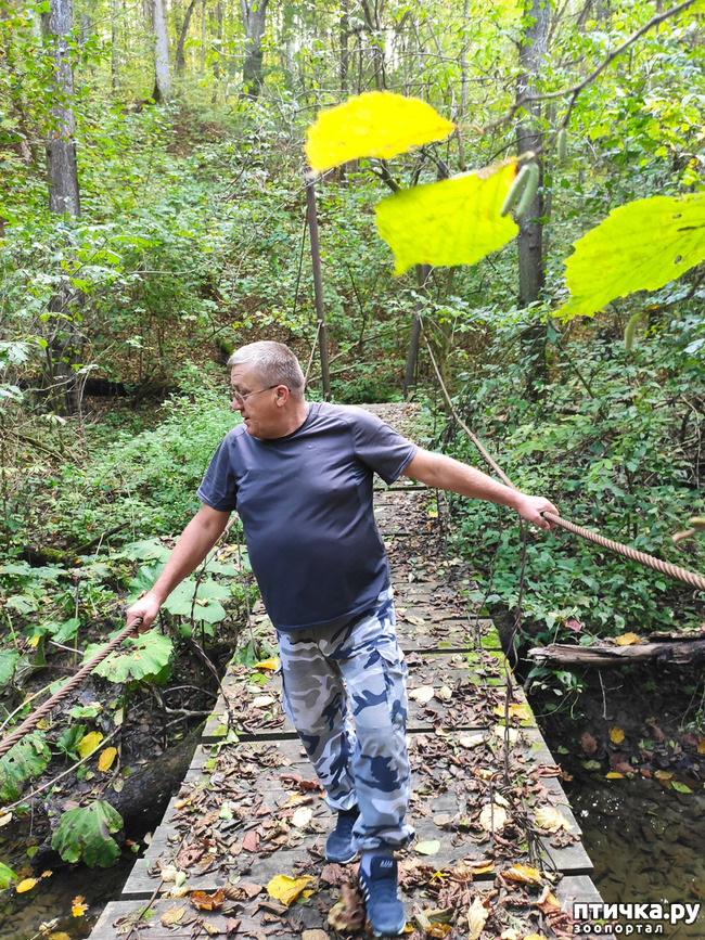 ���� 6: ������ ���������� ��������