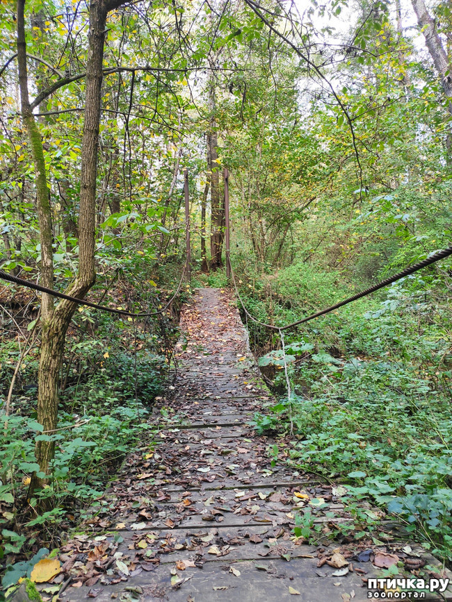 ���� 4: ������ ���������� ��������