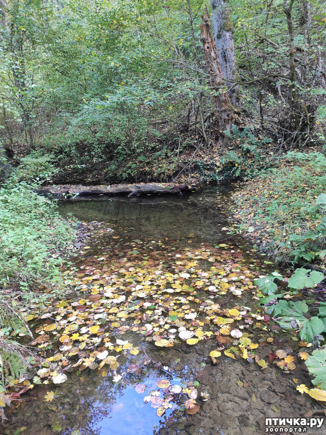 ���� 5: ������ ���������� ��������