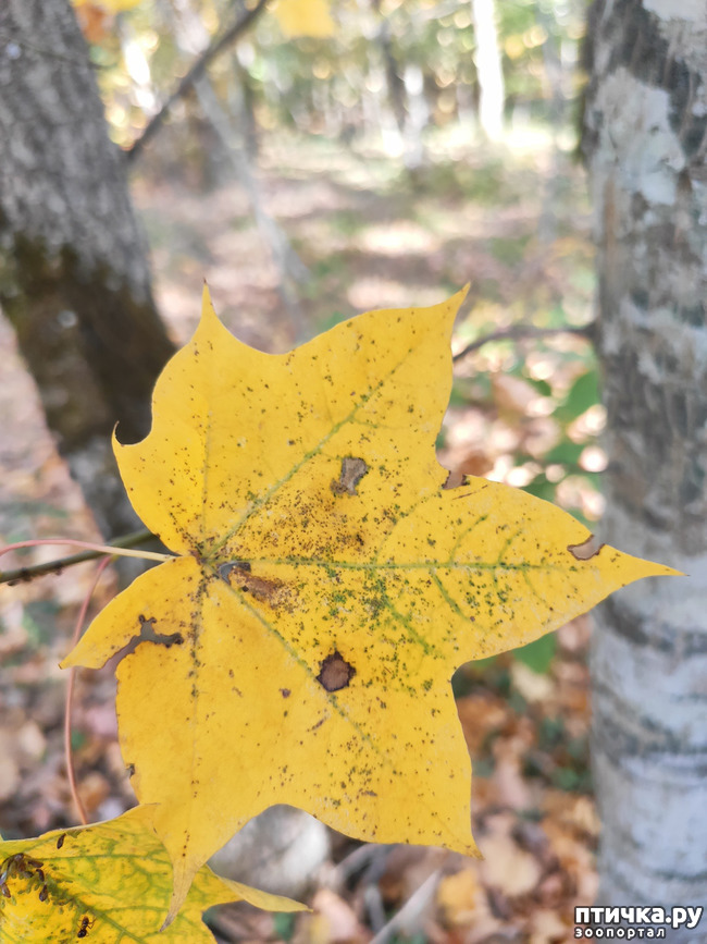 ���� 14: ������ ���������� ��������