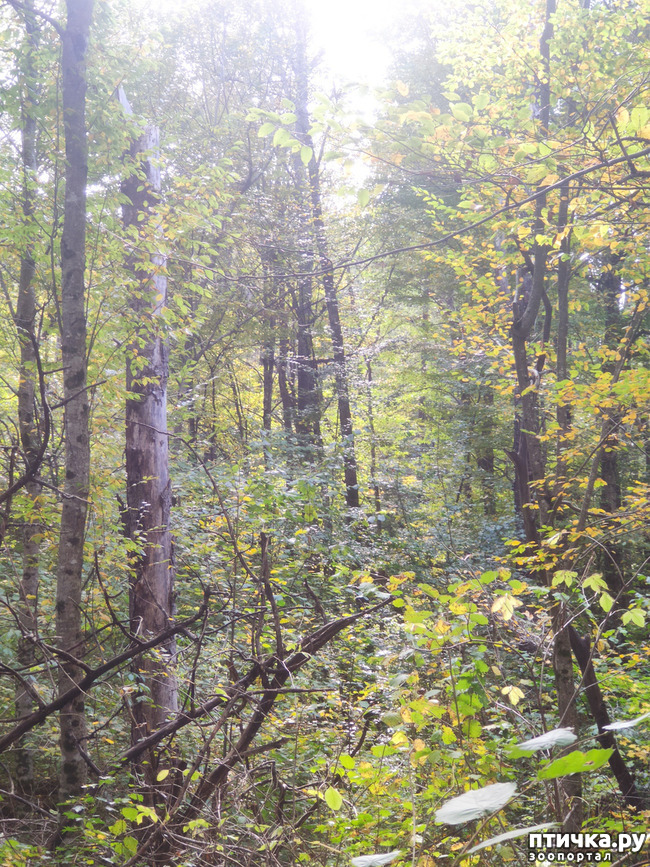 ���� 11: ������ ���������� ��������