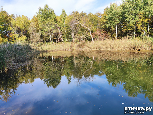 ���� 13: ������ ���������� ��������