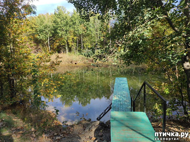 ���� 12: ������ ���������� ��������