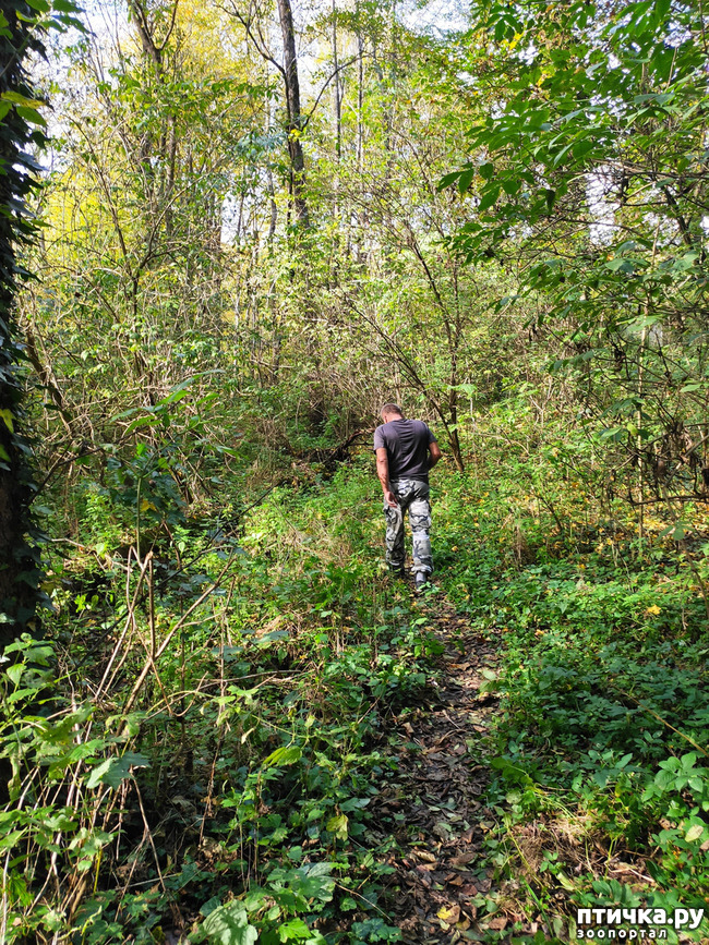 ���� 9: ������ ���������� ��������