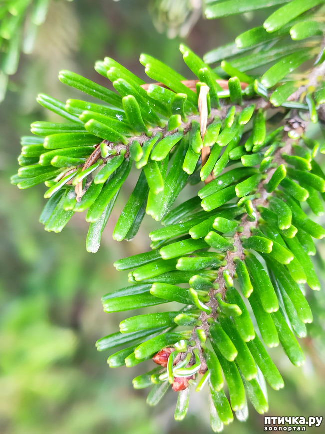 ���� 16: ������ ���������� ��������