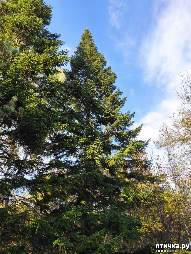 ���� 15: ������ ���������� ��������