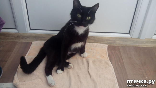 ���� 1: ������ �� ��������