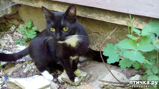 ���� 2: ������ �� ��������