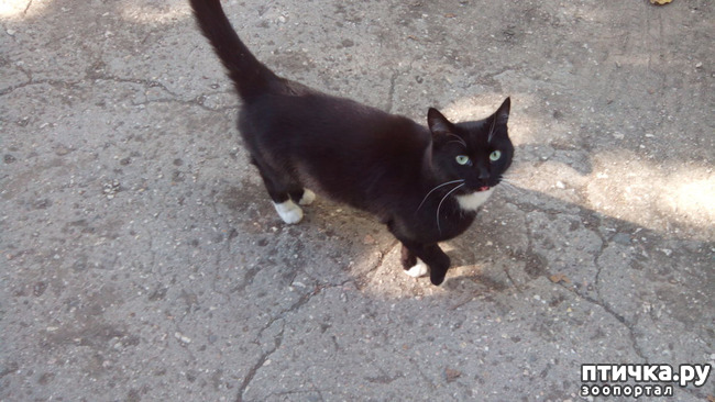 ���� 3: ������ �� ��������