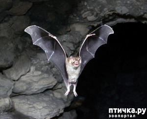 ����: � ��� � ��������