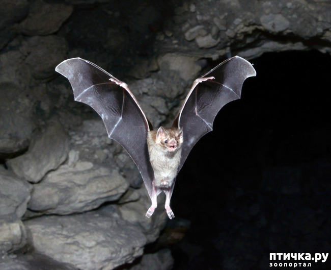 ���� 1: � ��� � ��������