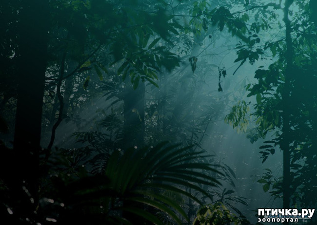 ���� 2: � ��� � ��������