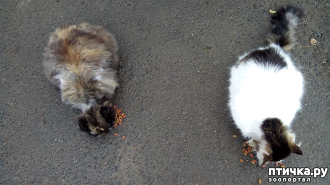 ���� 6: ������ �� ��������