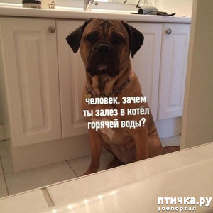 фотография: Немного юмора фото: Немного юмора