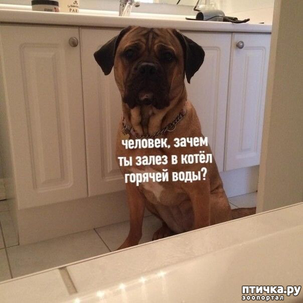 ���� 1: ������� �����