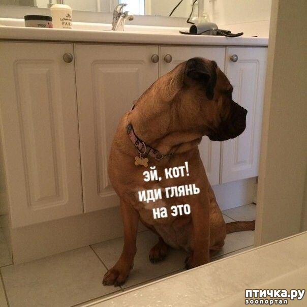 ���� 2: ������� �����