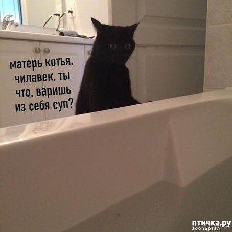 ���� 3: ������� �����