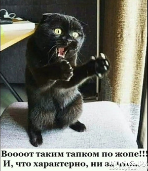 фотография: Немного юмора фото: Немного юмора