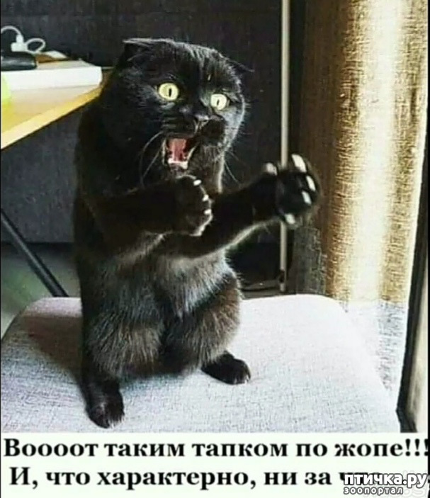 ���� 1: ������� �����