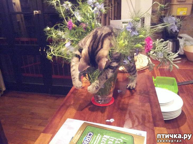 ���� 12: ����������� �� ����������� (������ ��� �������?) �����-��������