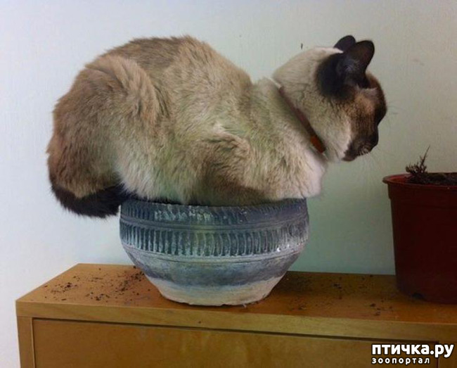 ���� 18: ����������� �� ����������� (������ ��� �������?) �����-��������