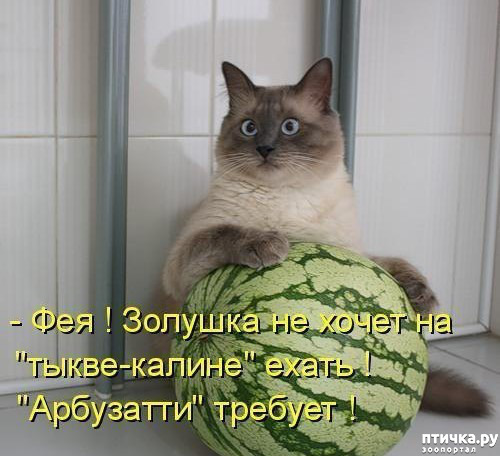 ���� 23: ����������� �� ����������� (������ ��� �������?) �����-��������