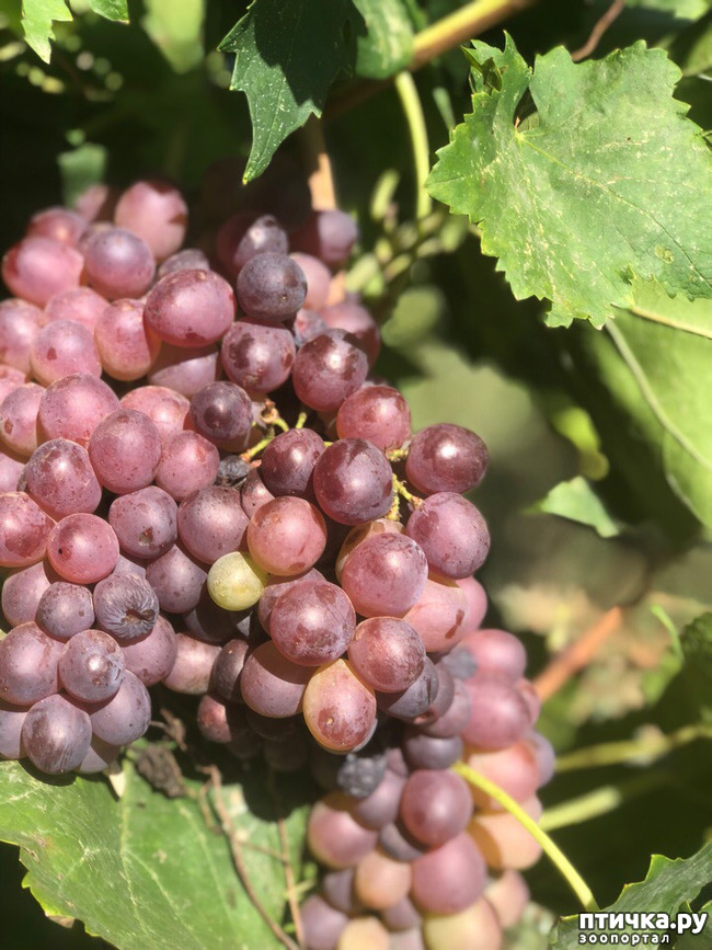 ���� 38: ������ ����� � ����� �������.