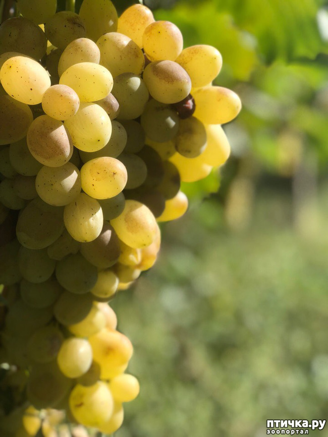 ���� 39: ������ ����� � ����� �������.