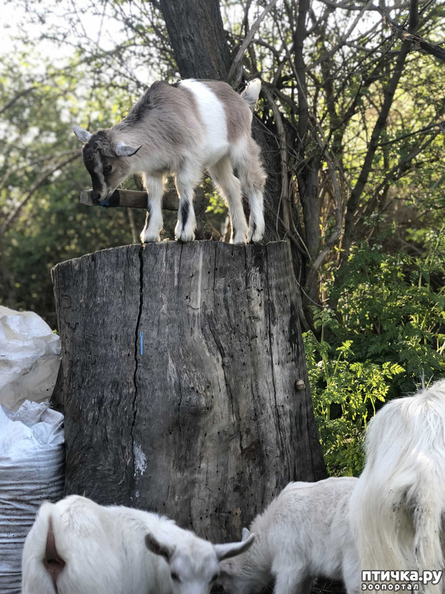 ���� 33: ������ ����� � ����� �������.