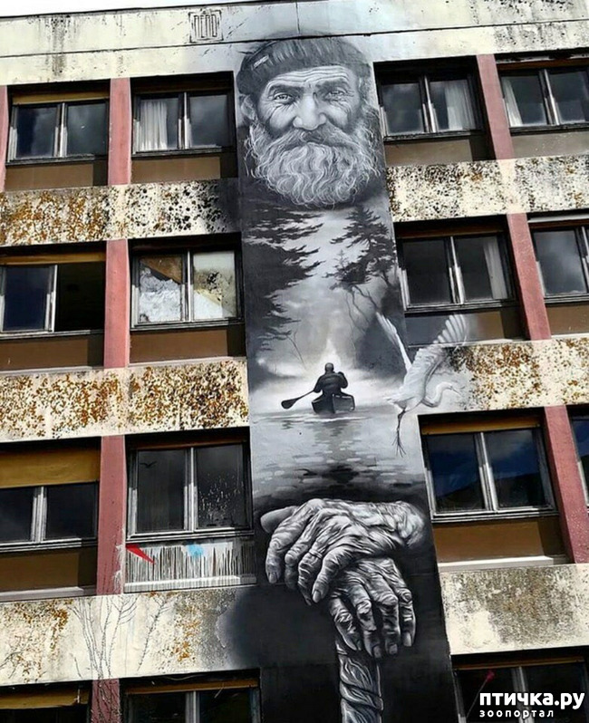 ���� 16: ������� ���������, ��� ��� ����