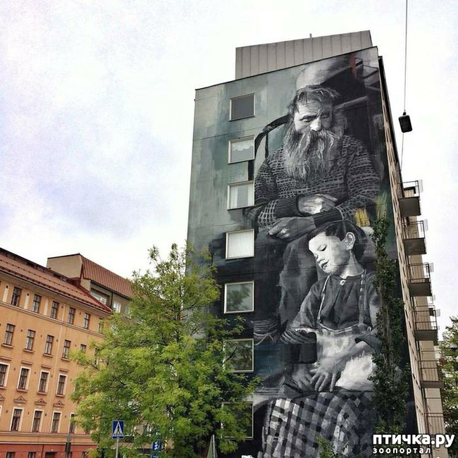 ���� 14: ������� ���������, ��� ��� ����