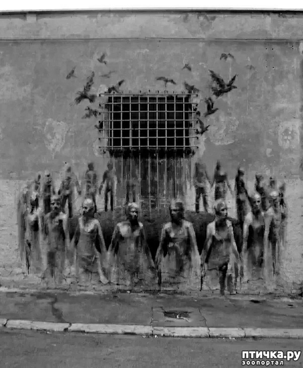 ���� 19: ������� ���������, ��� ��� ����