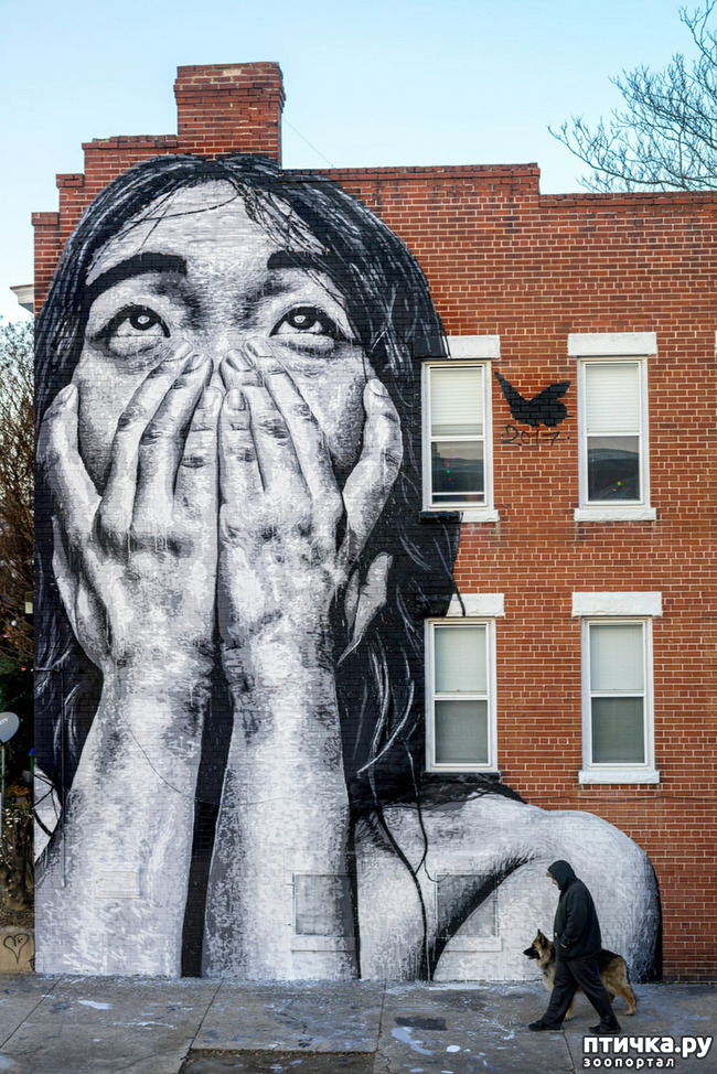 ���� 17: ������� ���������, ��� ��� ����