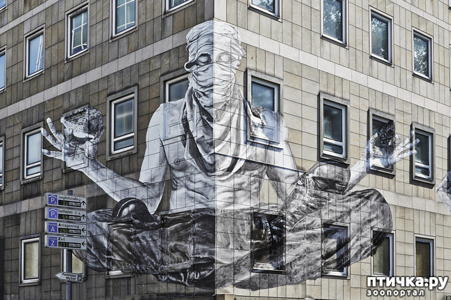 ���� 15: ������� ���������, ��� ��� ����