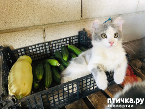 фотография: Беглый обзор с места событий. фото: Беглый обзор с места событий.