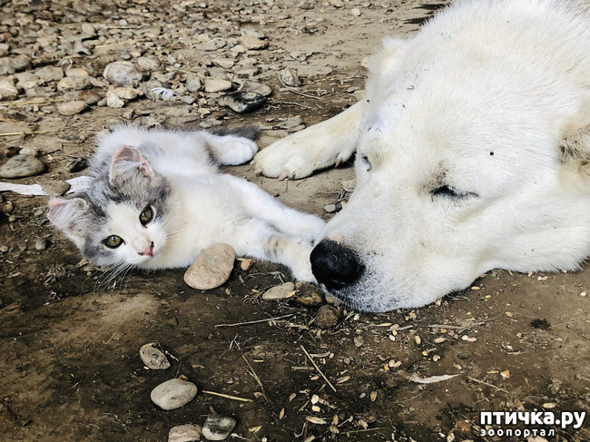 ���� 4: ������ ����� � ����� �������.